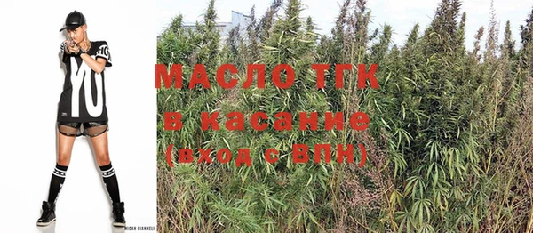 соль ск Вяземский