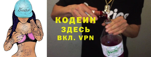 соль ск Вяземский