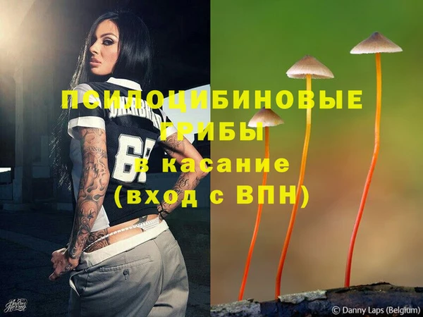 мдпв Верея