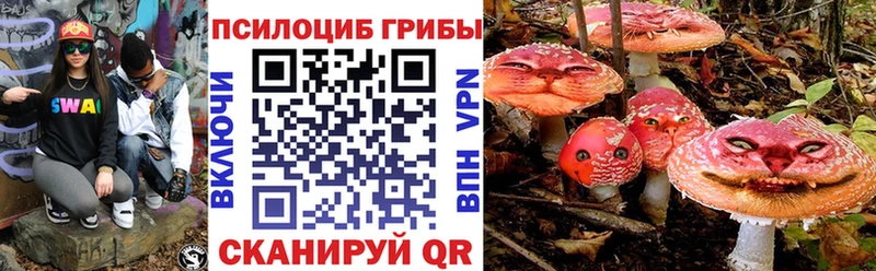 Псилоцибиновые грибы MAGIC MUSHROOMS  Купить закладки  Новоалтайск 